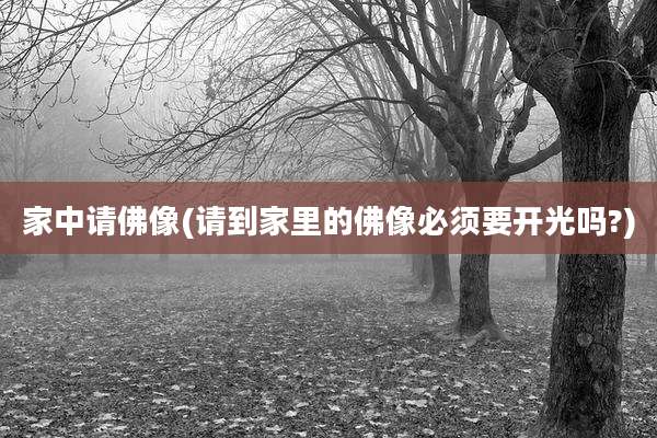 家中请佛像(请到家里的佛像必须要开光吗?)