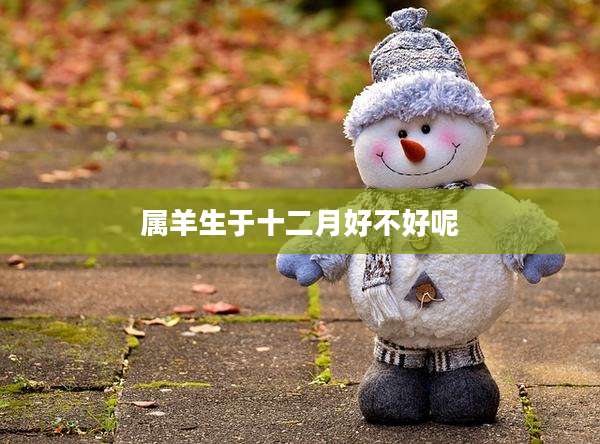 属羊生于十二月好不好呢