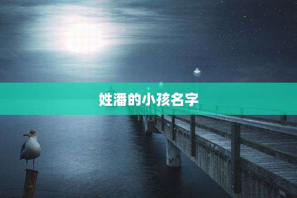 姓潘的小孩名字