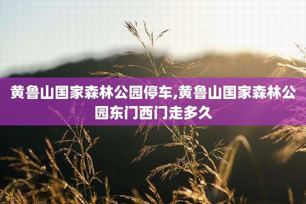 黄鲁山国家森林公园停车,黄鲁山国家森林公园东门西门走多久