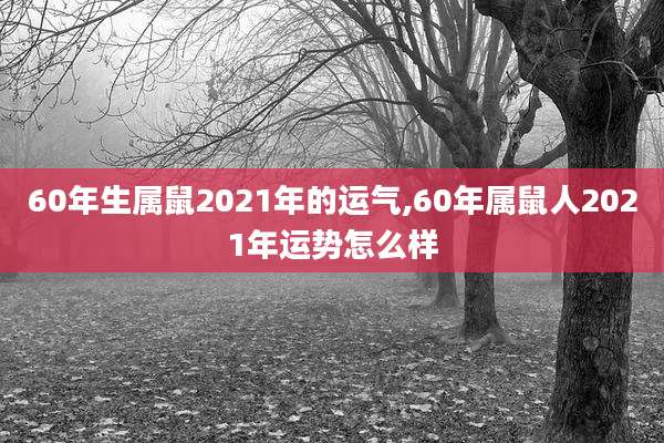 60年生属鼠2021年的运气,60年属鼠人2021年运势怎么样