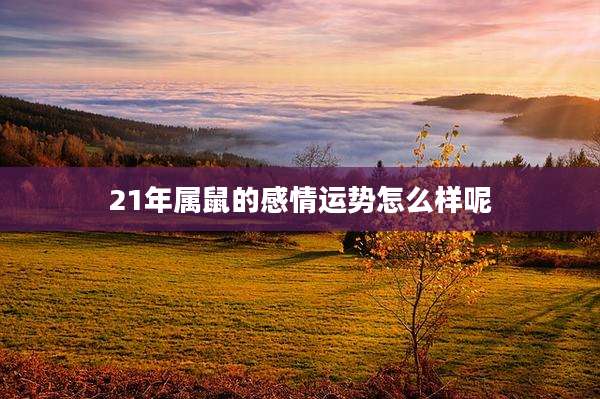 21年属鼠的感情运势怎么样呢