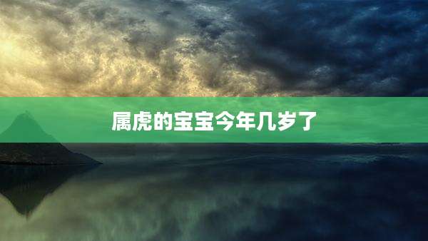 属虎的宝宝今年几岁了