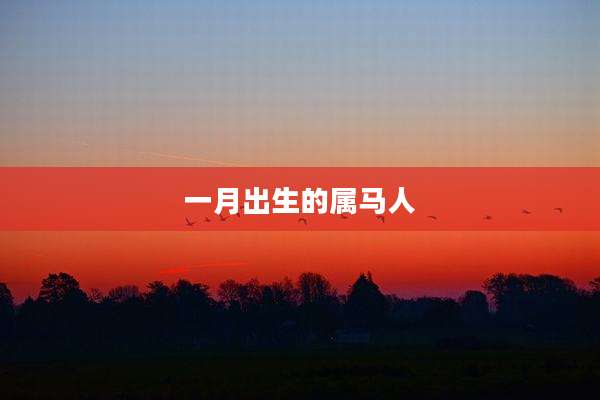 一月出生的属马人