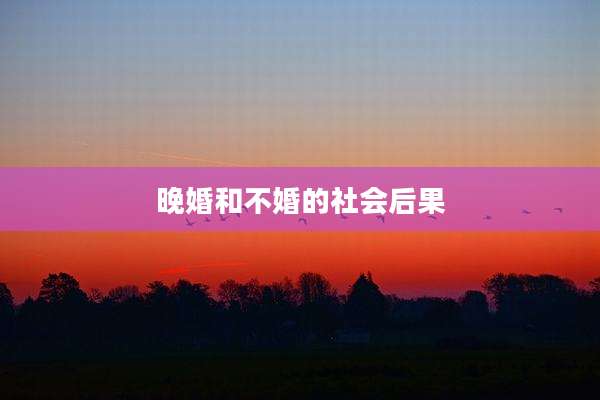 晚婚和不婚的社会后果