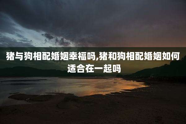 猪与狗相配婚姻幸福吗,猪和狗相配婚姻如何 适合在一起吗
