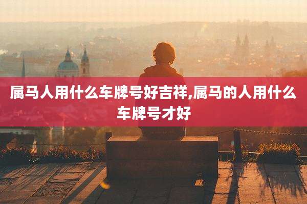 属马人用什么车牌号好吉祥,属马的人用什么车牌号才好