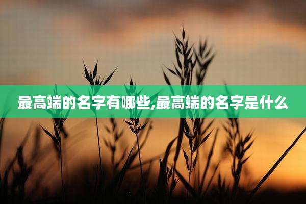 最高端的名字有哪些,最高端的名字是什么