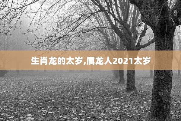 生肖龙的太岁,属龙人2021太岁