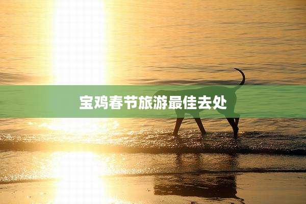 宝鸡春节旅游最佳去处