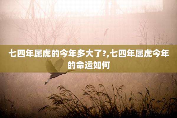 七四年属虎的今年多大了?,七四年属虎今年的命运如何