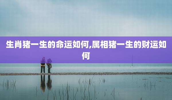 生肖猪一生的命运如何,属相猪一生的财运如何
