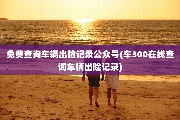 免费查询车辆出险记录公众号(车300在线查询车辆出险记录)