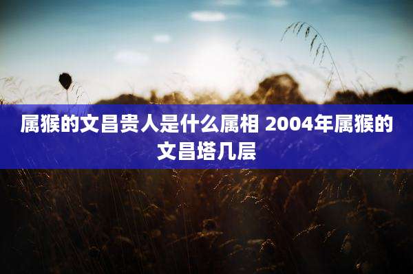 属猴的文昌贵人是什么属相 2004年属猴的文昌塔几层