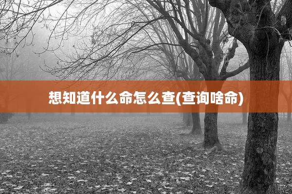 想知道什么命怎么查(查询啥命)