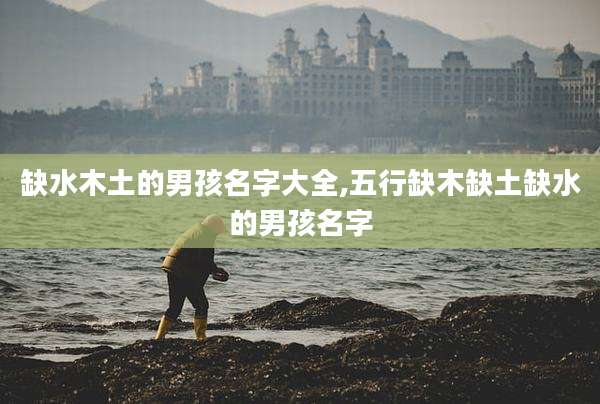 缺水木土的男孩名字大全,五行缺木缺土缺水的男孩名字