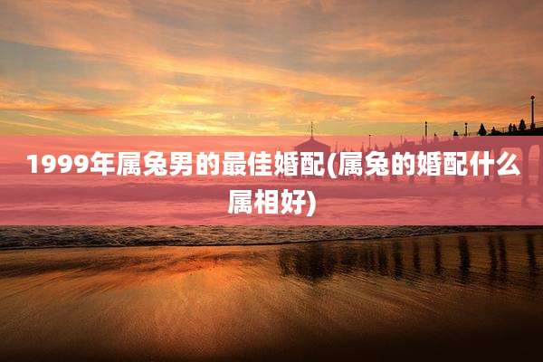 1999年属兔男的最佳婚配(属兔的婚配什么属相好)