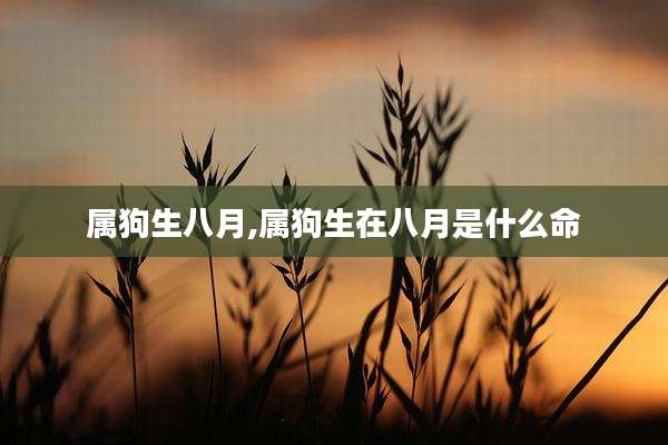 属狗生八月,属狗生在八月是什么命