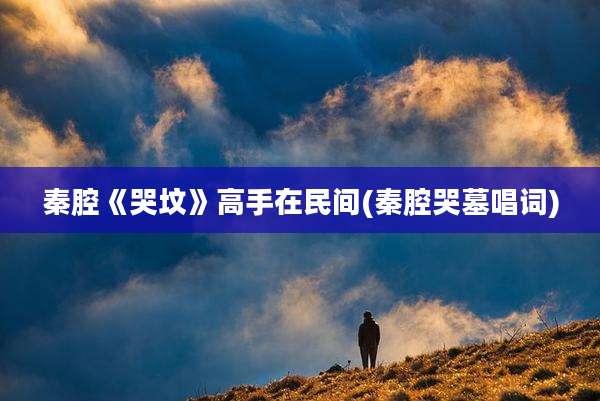 秦腔《哭坟》高手在民间(秦腔哭墓唱词)