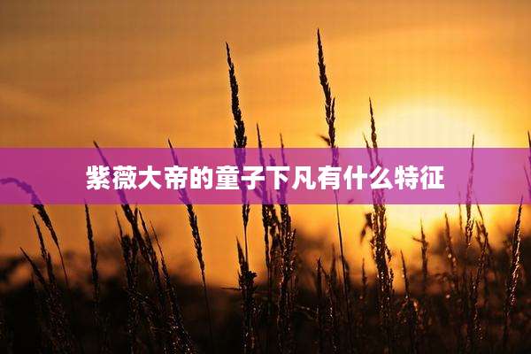 紫薇大帝的童子下凡有什么特征