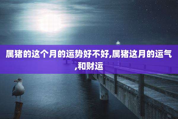 属猪的这个月的运势好不好,属猪这月的运气,和财运