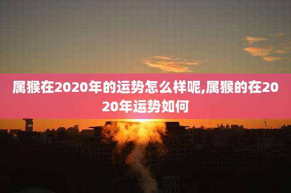 属猴在2020年的运势怎么样呢,属猴的在2020年运势如何