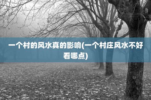 一个村的风水真的影响(一个村庄风水不好看哪点)