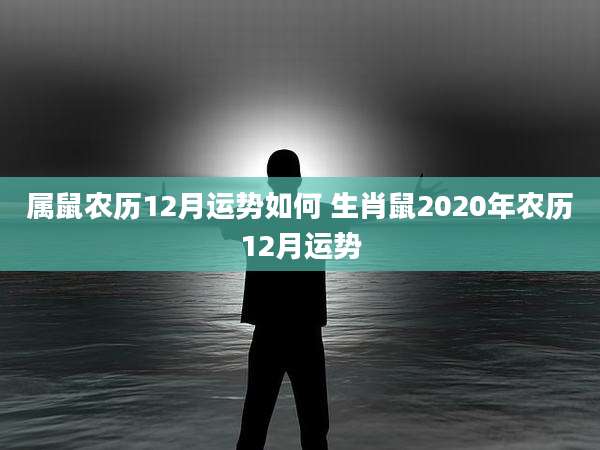 属鼠农历12月运势如何 生肖鼠2020年农历12月运势