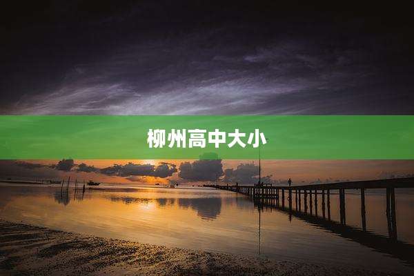 柳州高中大小