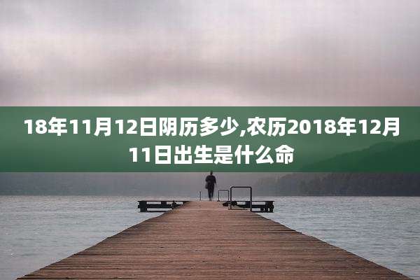 18年11月12日阴历多少,农历2018年12月11日出生是什么命