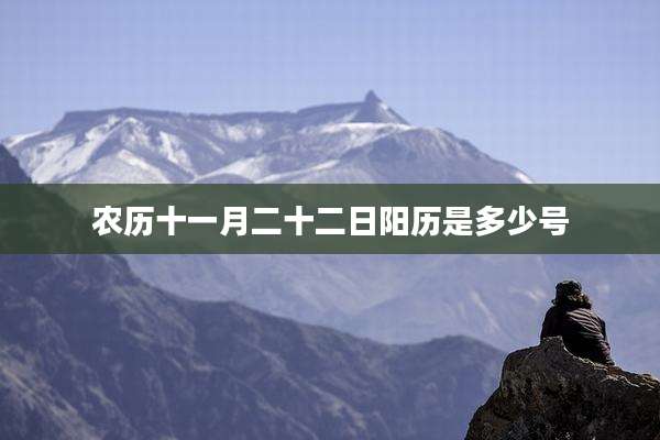 农历十一月二十二日阳历是多少号