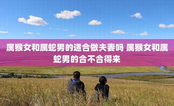 属猴女和属蛇男的适合做夫妻吗 属猴女和属蛇男的合不合得来