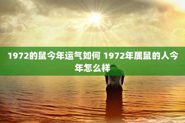 1972的鼠今年运气如何 1972年属鼠的人今年怎么样