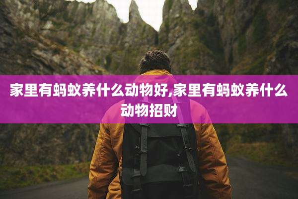 家里有蚂蚁养什么动物好,家里有蚂蚁养什么动物招财