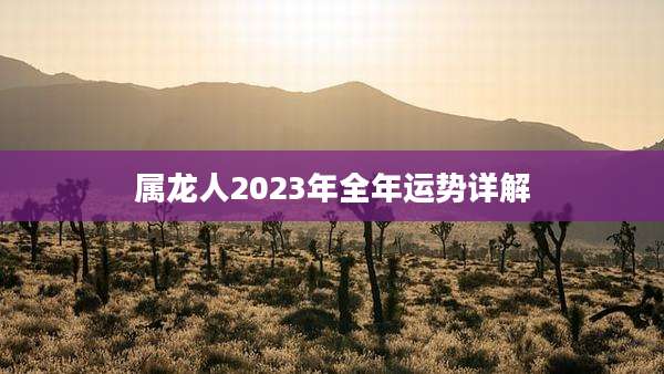 属龙人2023年全年运势详解
