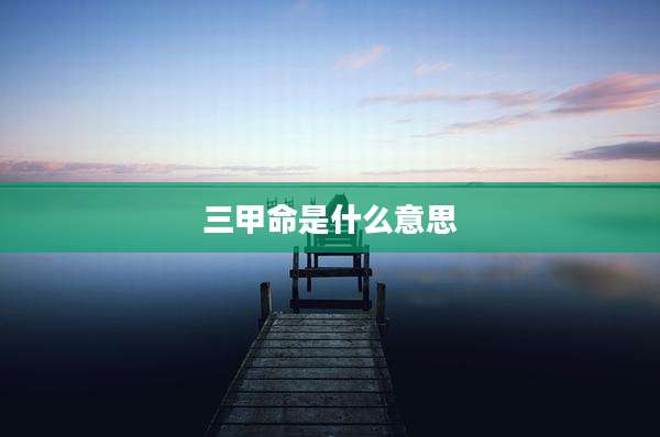 三甲命是什么意思