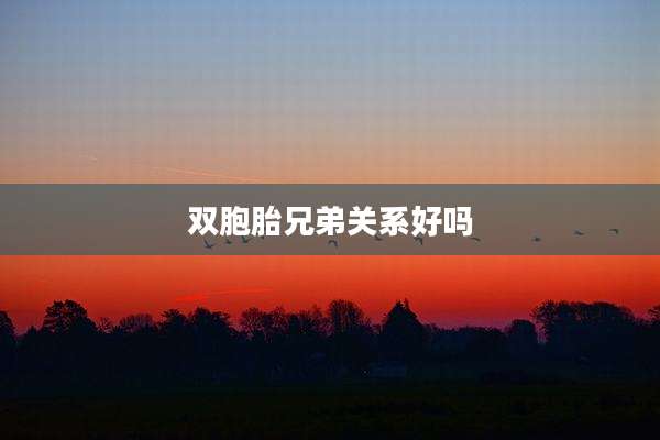 双胞胎兄弟关系好吗
