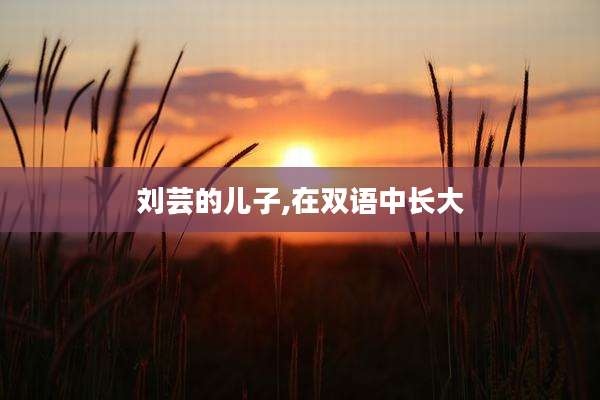 刘芸的儿子,在双语中长大