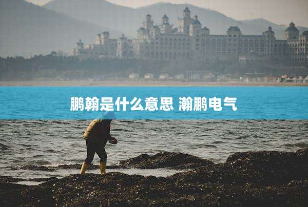 鹏翰是什么意思 瀚鹏电气