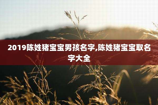 2019陈姓猪宝宝男孩名字,陈姓猪宝宝取名字大全