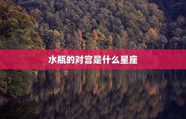 水瓶的对宫是什么星座