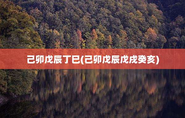己卯戊辰丁巳(己卯戊辰戊戌癸亥)