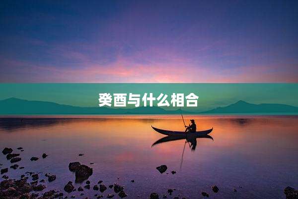 癸酉与什么相合