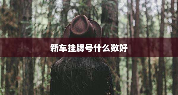 新车挂牌号什么数好