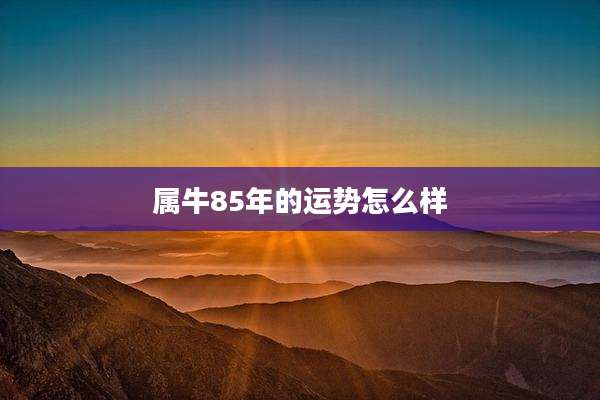 属牛85年的运势怎么样