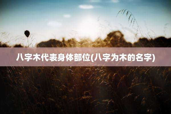 八字木代表身体部位(八字为木的名字)