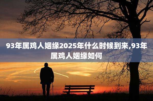 93年属鸡人姻缘2025年什么时候到来,93年属鸡人姻缘如何