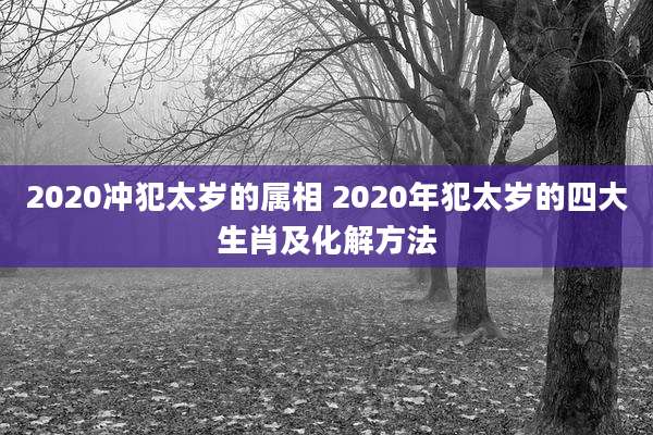 2020冲犯太岁的属相 2020年犯太岁的四大生肖及化解方法