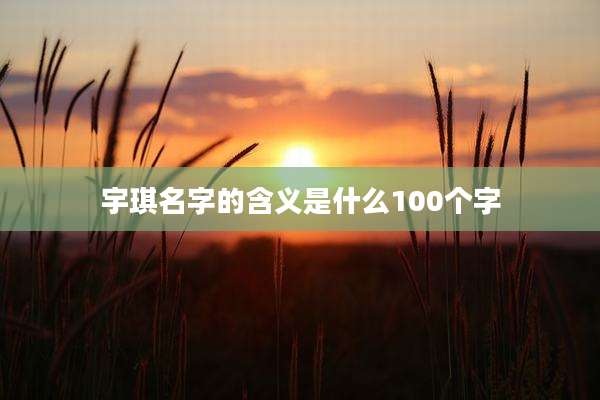 宇琪名字的含义是什么100个字