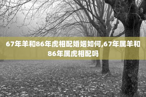 67年羊和86年虎相配婚姻如何,67年属羊和86年属虎相配吗